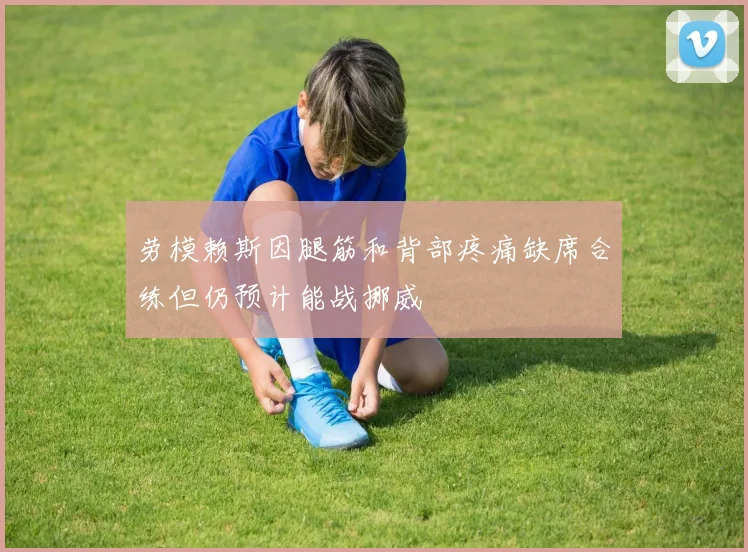 劳模赖斯因腿筋和背部疼痛缺席合练但仍预计能战挪威