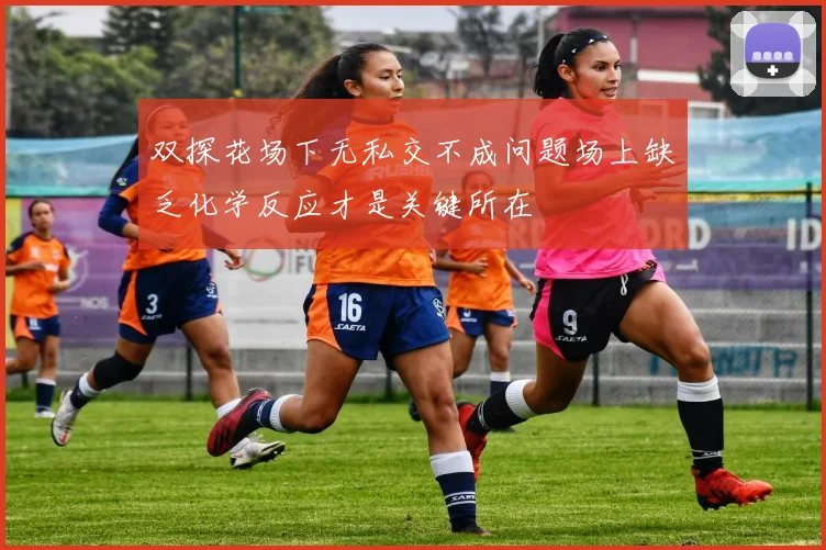 双探花场下无私交不成问题场上缺乏化学反应才是关键所在